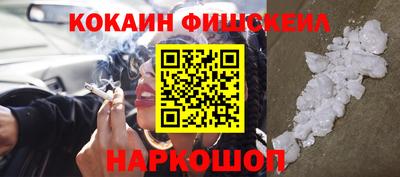 прущие грибы Гатчина