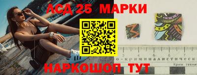 прущие грибы Гатчина