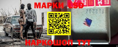 прущие грибы Гатчина