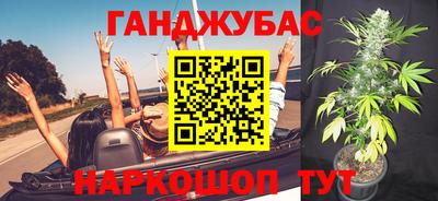 прущие грибы Гатчина