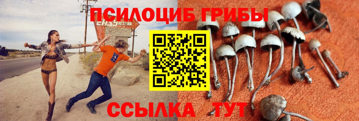 Галлюциногенные грибы GOLDEN TEACHER  Вход с VPN  Подольск 